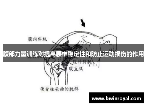 腹部力量训练对提高腰椎稳定性和防止运动损伤的作用